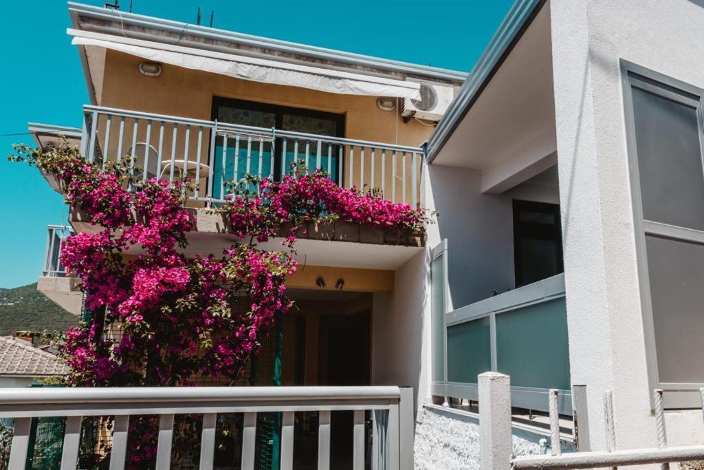 Ankica & Anamarija Apartments 네움 외부 사진